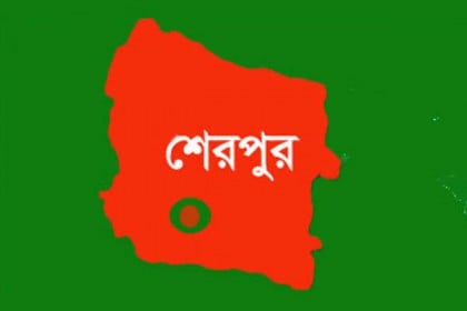জমি সংক্রান্ত বিরোধে ভাইয়ের হাতে ভাই খুন