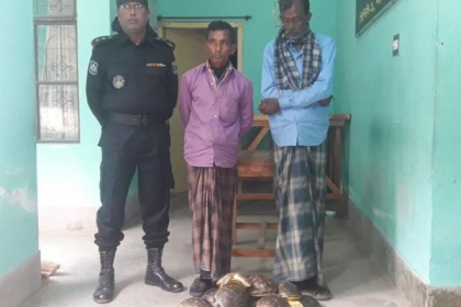 সাতক্ষীরায় কচ্ছপসহ দুই ব্যবসায়ী আটক