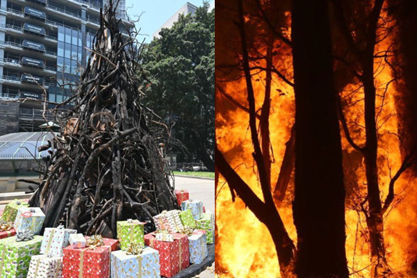 ভয়াবহ রূপ নিয়েছে অস্ট্রেলিয়ার দাবানল, ‘পুড়লো’ ক্রিসমাস ট্রি