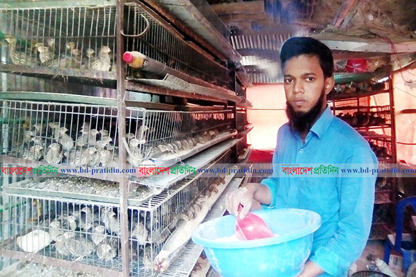 কোয়েল পাখি পালন করে সফল আদমদীঘির আতিকুল