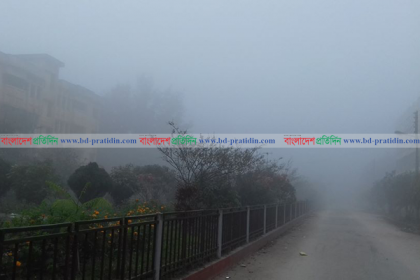 বরগুনায় কুয়াশা-বৃষ্টিতে জনজীবন বিপর্যস্ত