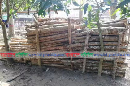 রাঙামাটিতে বন বিভাগের অভিযানে 
অবৈধ জ্বালানি কাঠ জব্দ