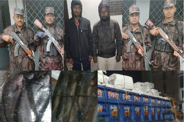 সাতক্ষীরায় দেড় কোটি টাকার মাছ জব্দ