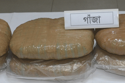 নরসিংদীতে গাঁজাসহ মাদক ব্যবসায়ী গ্রেফতার 