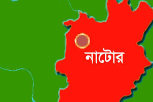 গুরুদাসপুরে বিনামূল্যের বই বিতরণে অনিয়মের অভিযোগ 

