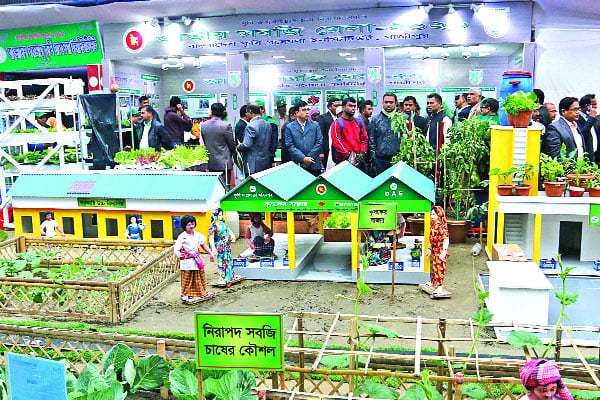 চেনা-অচেনা সবজির সমাহার