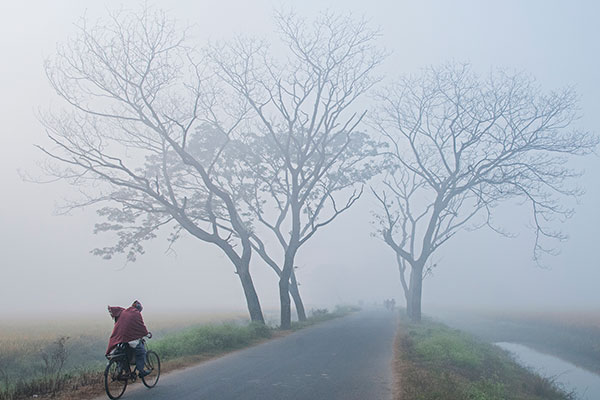 নীলফামারীতে তাপমাত্রা ১১.৭ ডিগ্রি