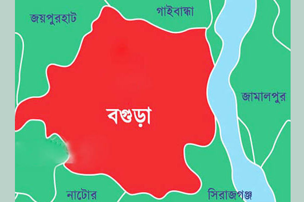 মেয়েকে ন্যাড়া করল মা, মেয়ের মামলায় গ্রেফতার মা 
