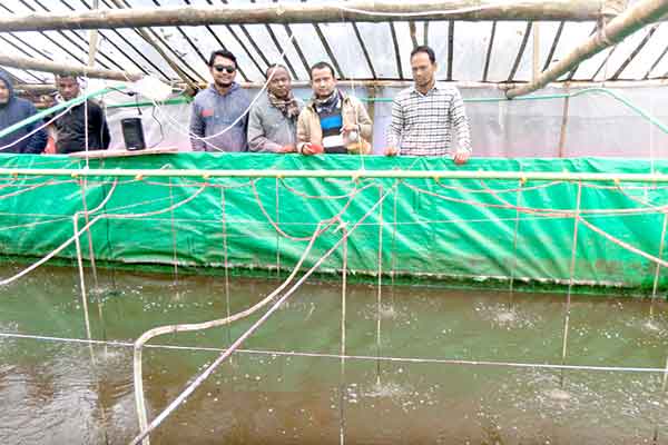 দিনাজপুরে উদ্ভাবনী পদ্ধতি ব্যবহার করে ৫ মাছ চাষীর সফলতা  