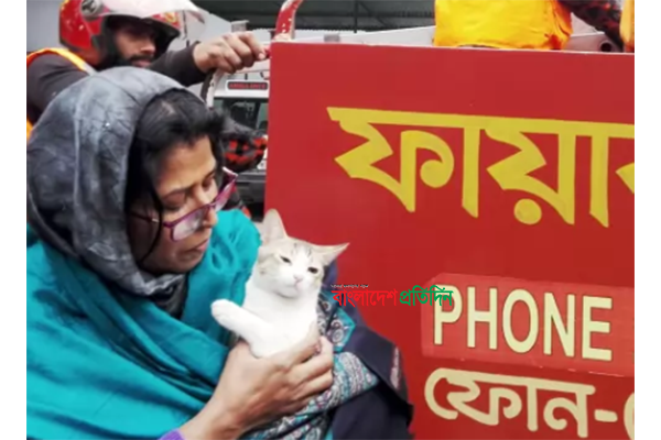 আটকা পড়া বিড়াল উদ্ধারে ফায়ার সার্ভিস!