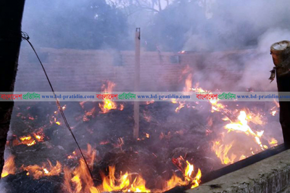 বিরলে বাণিজ্যিক খামারে ভয়াবহ অগ্নিকাণ্ডে ৪৫টি ছাগল ভস্মীভূত