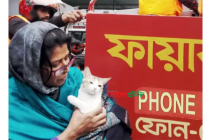 আটকা পড়া বিড়াল উদ্ধারে ফায়ার সার্ভিস!