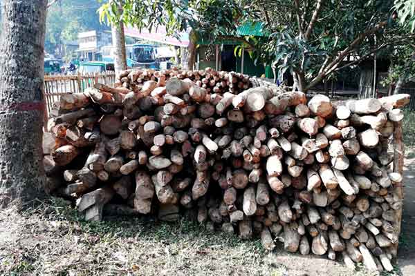 রাঙামাটিতে অবৈধ জ্বালানি কাঠ জব্দ 