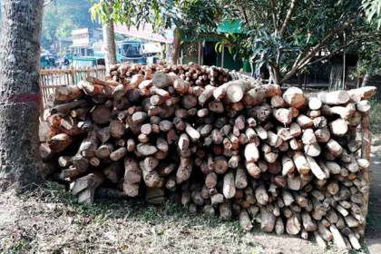 রাঙামাটিতে অবৈধ জ্বালানি কাঠ জব্দ 