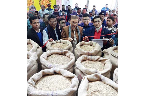 বরগুনার পাথরঘাটায় সরকারি মূল্যে আমন ধান ক্রয় শুরু