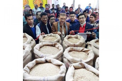 বরগুনার পাথরঘাটায় সরকারি মূল্যে আমন ধান ক্রয় শুরু