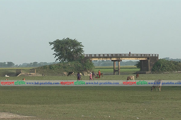 নেত্রকোনায় সড়কবিহীন ব্রিজ-কালভার্ট, দায় নেই কর্তৃপক্ষের!
