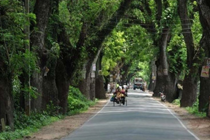 যশোর রোডের গাছ কাটা নিয়ে বিশেষজ্ঞ কমিটি গঠন: ভারতের শীর্ষ আদালত 