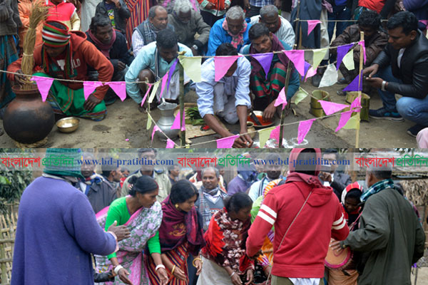 সাঁওতাল সম্প্রদায়ের ‘সহরায় পরব’ উৎসব শুরু