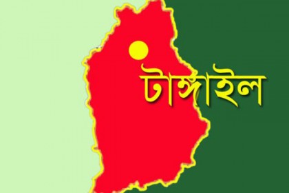 টাঙ্গাইলে পৃথক ঘটনায় ৩ জনের আত্মহত্যা