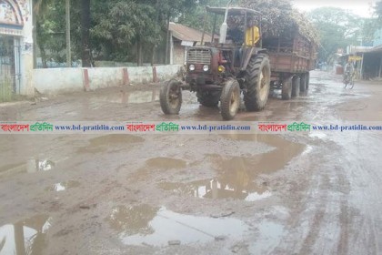 দুর্ভোগের অপর নাম নাটোরের ওয়ালিয়া-লালপুর সড়ক 