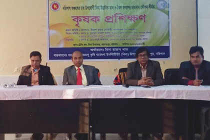'বাজার থেকে কেনা সয়াবিন আদৌ সয়াবিন কিনা নতুন করে ভাবতে হবে'