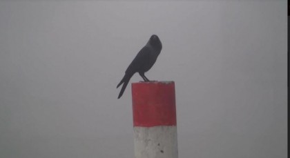 নীলফামারীতে কনকনে শীত