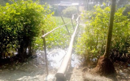 রায়পুরে ঝুঁকিপূর্ণ সাঁকো পারাপারে স্কুল শিক্ষার্থীরা
