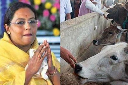 ‘গরুকে স্পর্শ করলেই মনের নেতিবাচক দিকগুলো দূর হবে’
