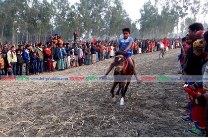 মন্দিরপাড়া মাঠে ঘোড়ার দৌড়