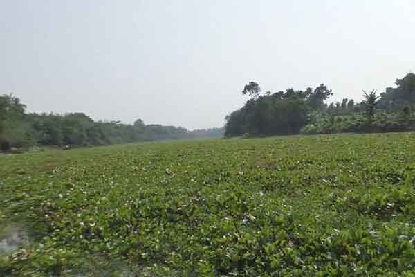 ইছামতি নদী থেকে বাংলাদেশি যুবকের লাশ উদ্ধার