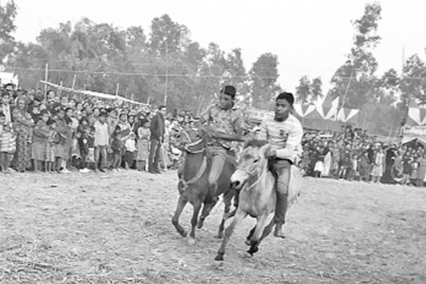 ঠাকুরগাঁওয়ে ঘোড়দৌড় দেখতে হাজারো মানুষের ভিড়