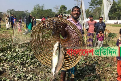 ঐতিহ্যের ‘পলো বাওয়া’ উৎসব