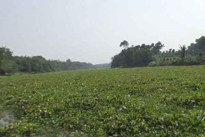 ইছামতি নদী থেকে বাংলাদেশি যুবকের লাশ উদ্ধার