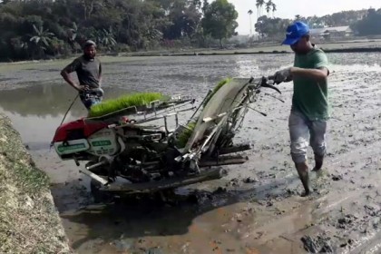 নেত্রকোনায় ধানের চারা রোপণে যন্ত্রের ব্যবহার