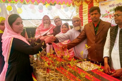 গুরুদাসপুরে গাছের চারা বিতরণ