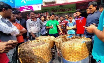৮০ মণ জাটকা উদ্ধার, আটক ২ 