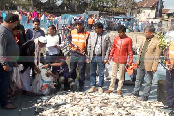 বরিশালে ট্রলার বোঝাই ৫০ মণ জাটকা আটক
