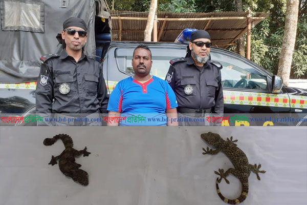 সাতক্ষীরায় দু’টি তক্ষকসহ আটক এক
