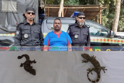 সাতক্ষীরায় দু’টি তক্ষকসহ আটক এক
