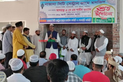 উন্নয়নে শেখ হাসিনার বিকল্প নাই: শামীম ওসমান