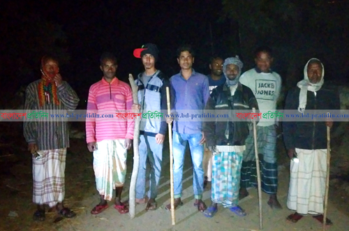 গরু চুরি ঠেকাতে সমাবেশ, রাত জেগে পাহারা