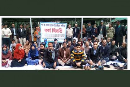 নেত্রকোনায় কালেক্টরেট সহকারী সমিতির কর্মবিরতি