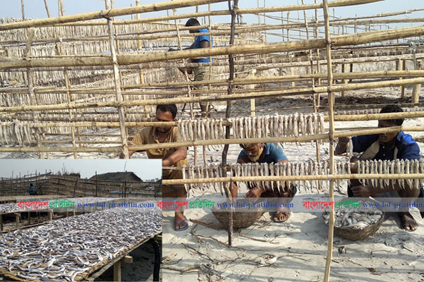 বৈরী আবহাওয়ায় সুন্দরবনের শুঁটকি পল্লীতে হাসি নেই