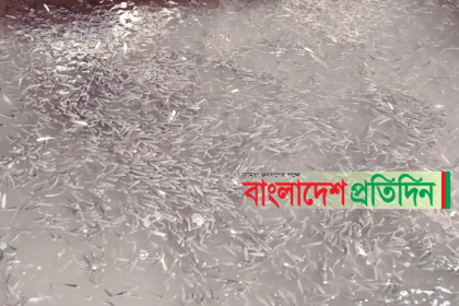 মোরেলগঞ্জে ৫ লাখ পার্শে মাছের পোনাসহ ট্রলার জব্দ