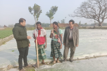 বোরো বীজতলা রক্ষায় বেড়েছে পলিথিনের ব্যবহার