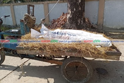 নিখোঁজের ৮ দিন পর নববধূর লাশ উদ্ধার 

