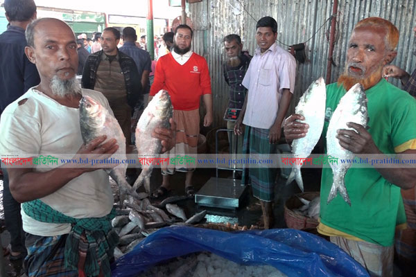 অসময়ে বরিশালে প্রচুর ইলিশ