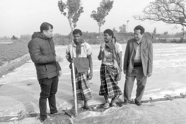 বোরো বীজতলা রক্ষায় পলিথিনের ব্যবহার
