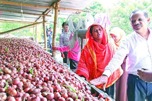 গৃহিণী থেকে দেশসেরা পিয়াজ বীজচাষি